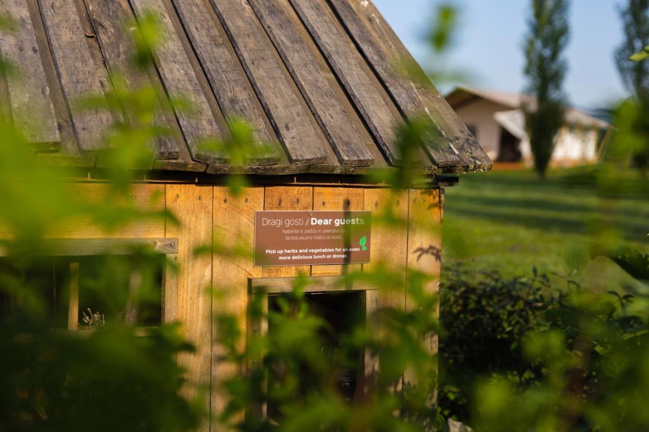 Glamping Kolpa Resort Gradac Exteriör bild