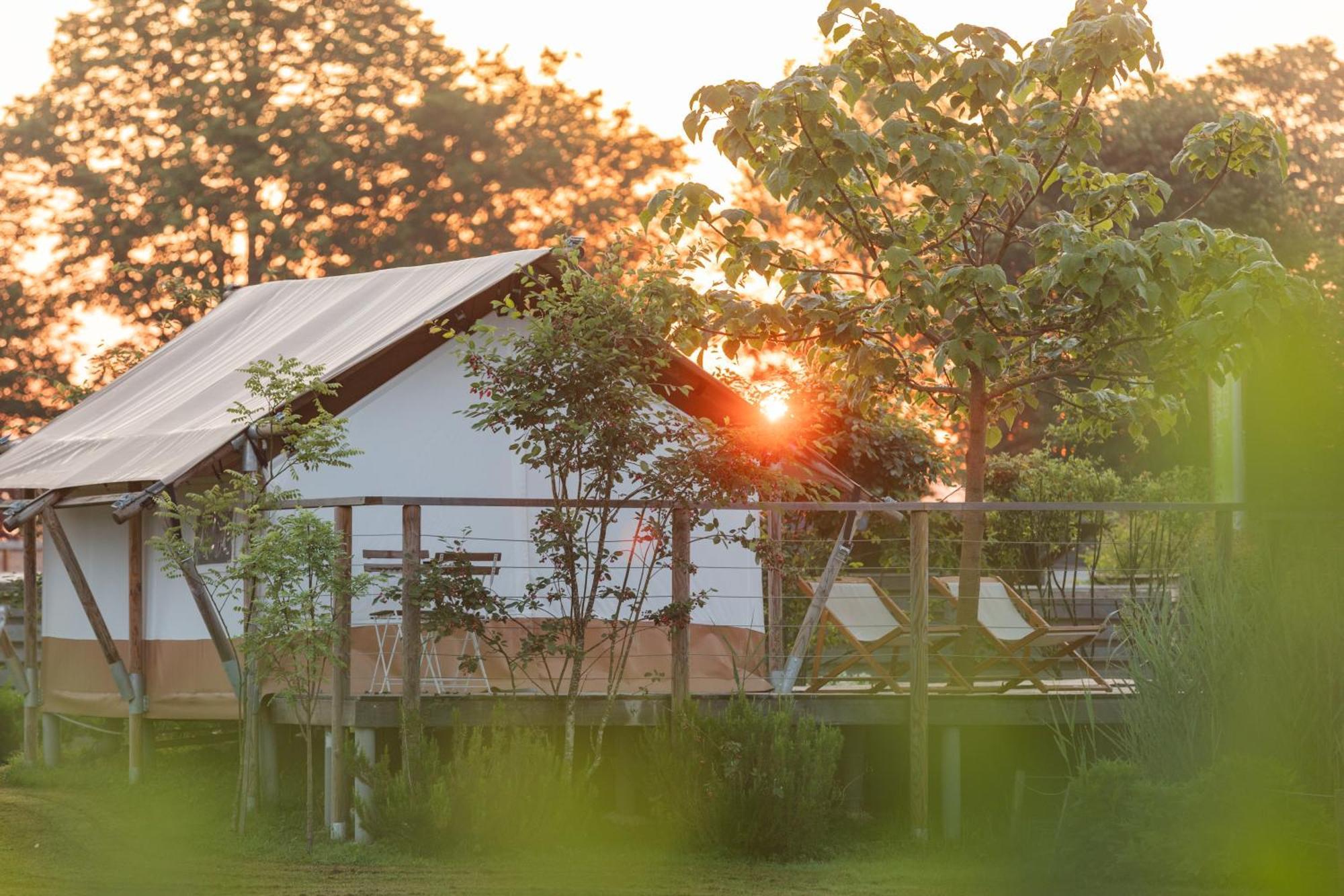 Glamping Kolpa Resort Gradac Exteriör bild